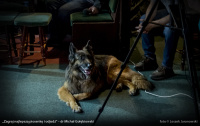 Zagraj najlepszą piosenkę i odjedź - kkw 9.06.2026 gołębiowski fot© leszek jaranowski 005